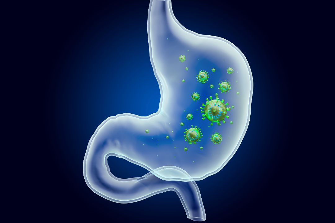 Helicobacter Pylori en Heces